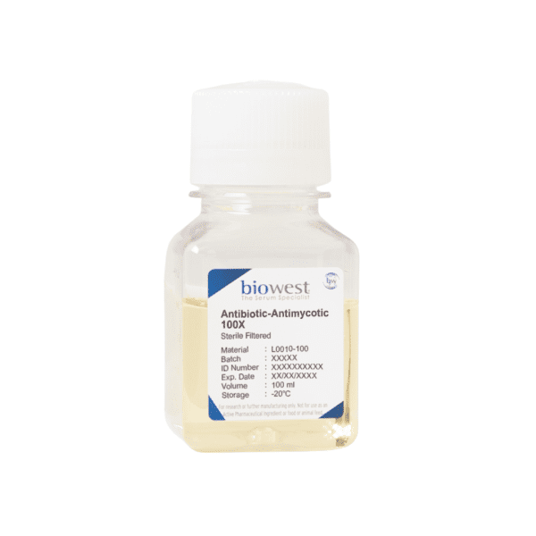 Antibiotic-Antimycotic (100X)